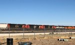 BNSF 9624/CN 2972/2843/2966